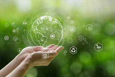 Empowering The Next Generation Of Eco-Leaders With K-12 EdTech